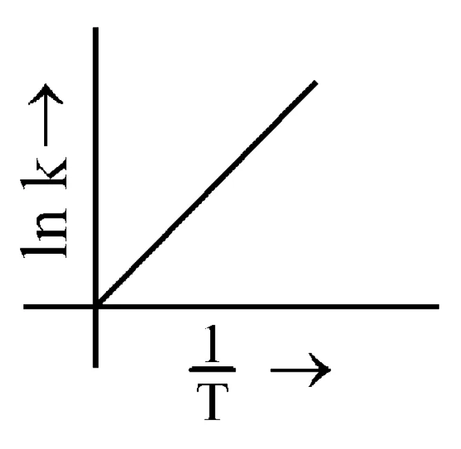 option D
